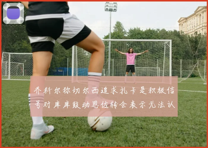 乔科尔称切尔西追求扎卡是积极信号对库库鼓动恩佐转会表示无法认同