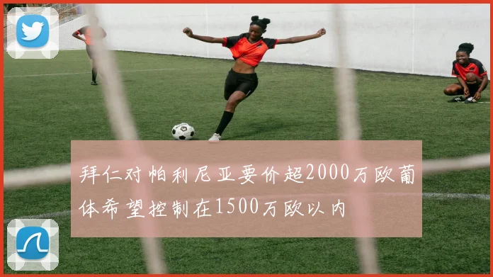 拜仁对帕利尼亚要价超2000万欧葡体希望控制在1500万欧以内